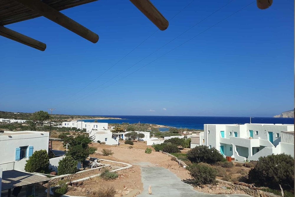 anasa/view3