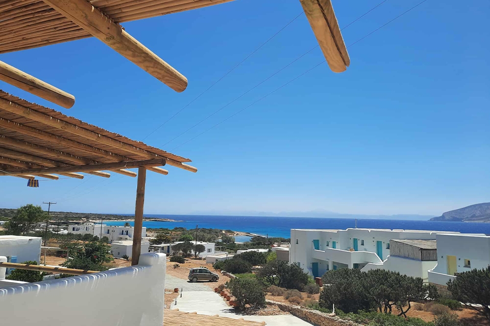 anasa/view4