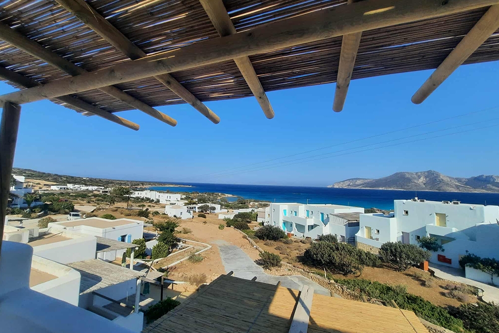 anasa/view5