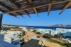 anasa/view5