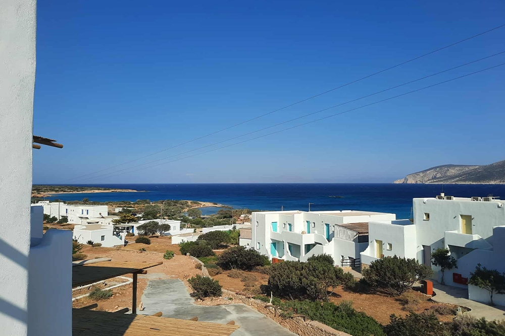 anasa/view6